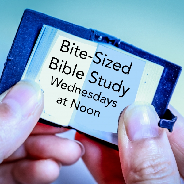 ​Bite-Sized Bible Study